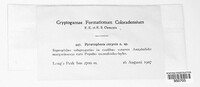 Image Associated With the Occurence